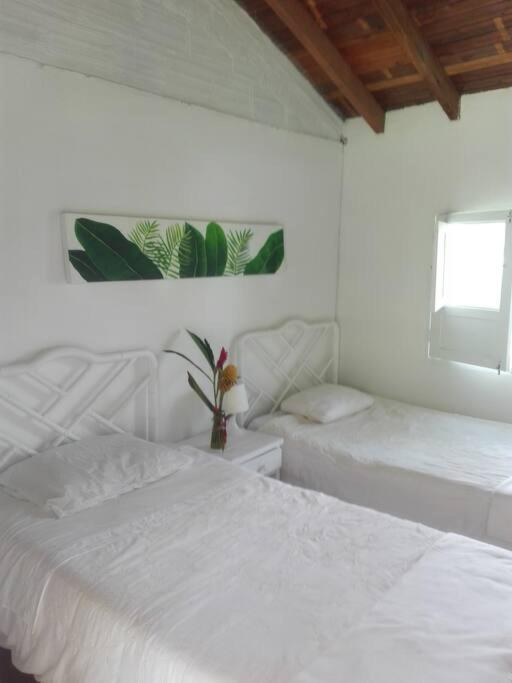 finca-hotel-el-piñal-quindio(6) - Finca Hotel El Piñal habitacion dos camas finca hotel el piñal